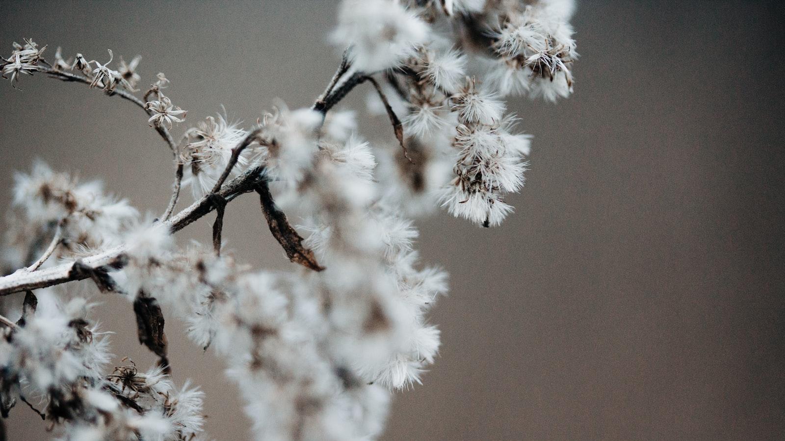 1. The Importance of Secure Seed Phrases in Bitcoin: Insights and Recommendations